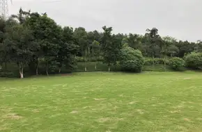Bamboo Forest Park