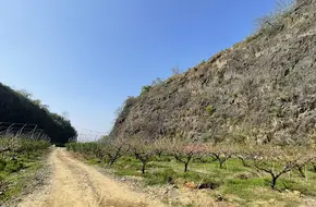 Yaoshan Site Park