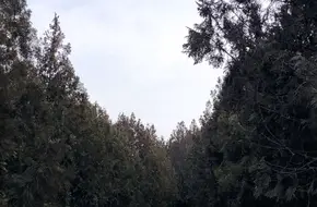 Dongling Countryside Park