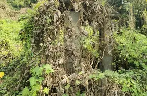 Longdang Mountain Park