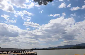 Gull Watching Pavilion