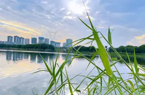 Happy Fishing Ground