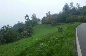Zhaomushan Forest Park