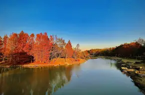 Pujiang First Bend Park