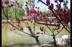 Jingcheng Huaiyuan