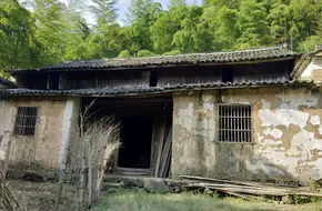 Dongming Mountain Forest Park