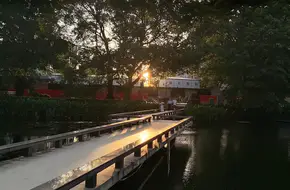 Water-Clinging Bridge