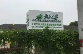 Tianfeng Renjia Organic Strawberry Picking Base