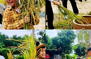 Pengdao Bright Pearl Farm