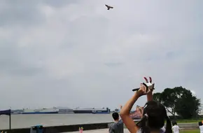 Seagull Island Wetland Park