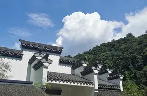 Shuangxi Orchard