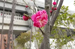 Minhang Riverside Park