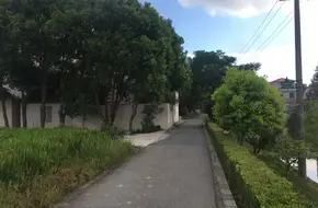 Poplar Garden