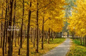 Dongxiaojing Village