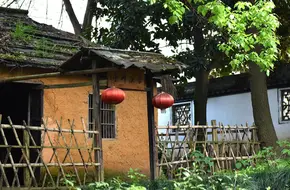Lu Yu Spring