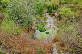 Baishui Temple Forest Park