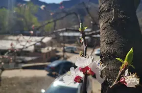 Kou'Er Village
