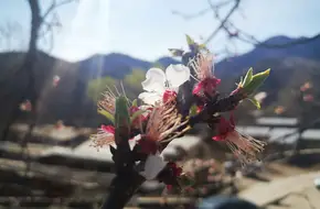 Kou'Er Village