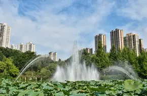 Longtousi Park