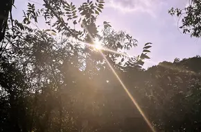 Maofeng Mountain Ecological Park