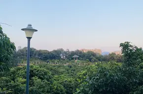 Lychee Cultural Park