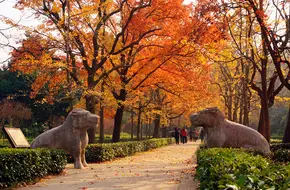 Avenue Of Stone Elephants