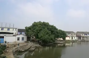Yongzheng Park