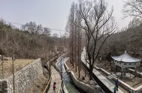 Baishui Temple Forest Park