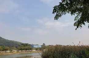 JunYi Fishing Ground