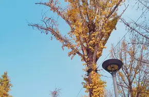 Liangjiang Happiness Square