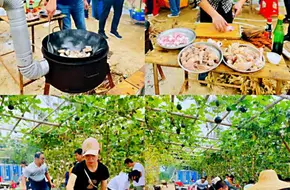 Pengdao Bright Pearl Farm