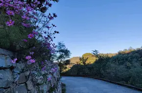 Shangyingshucun Village