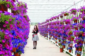 Pujiang Rose Garden