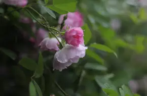 Yihe Ecological Park
