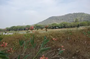 JunYi Fishing Ground