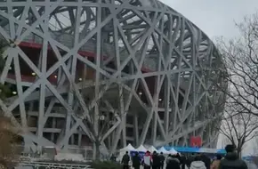 Bird'S Nest Happy Ice And Snow Season