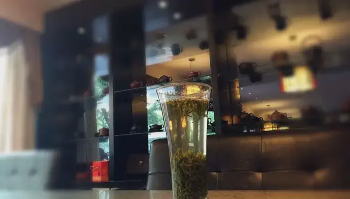 Jialin Xuan Tea House