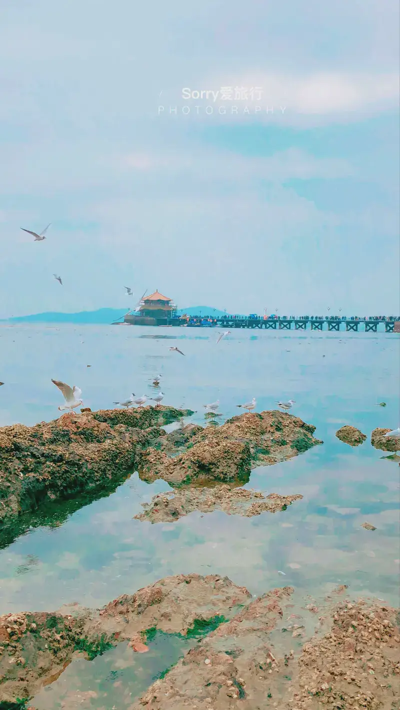 Qingdao in 1-Day: From Zhanqiao Pier to Gothic Spires & Lively Night Markets