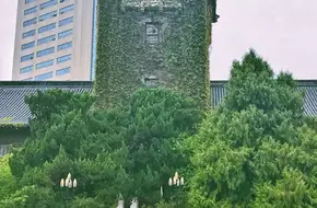
Nanjing University (Gulou Campus)