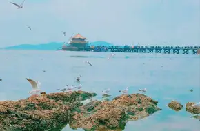 Qingdao in 1-Day: From Zhanqiao Pier to Gothic Spires & Lively Night Markets