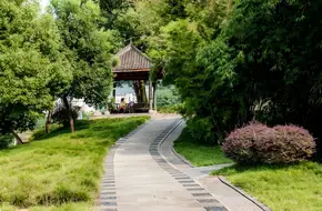 Dashancun Park